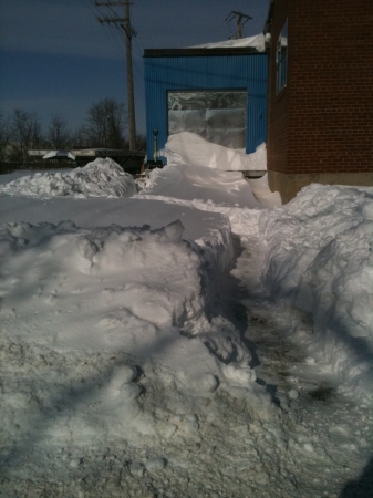 [URL=HTTPS://TWITTER.COM/STANA_KATIC/STATUS/32977339696545792]@STANA_KATIC[/URL] FOTO DE UMA TORONTO CHEIA DE NEVE. FIQUEM CONFORTÁVEIS, MEUS AMIGOS. X S
Palavras chave: TWITTER;2011;Chicago