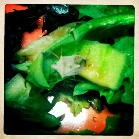[url=https://twitter.com/stana_katic/status/49024157798760448]@Stana_Katic[/url]: Comida orgânica... ;)
Palavras chave: TWITTER;2011