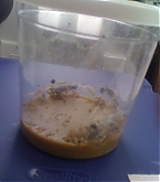 2011_08_04_02.jpg