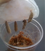 2011_08_10_01.jpg
