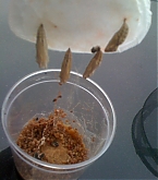 2011_08_10_02.jpg