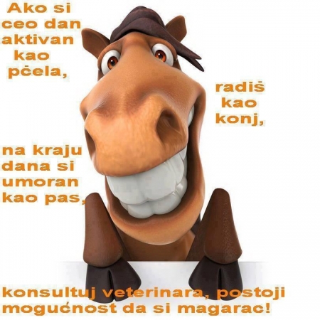 [url=https://twitter.com/Stana_Katic/status/378734730696335361]@Stana_Katic[/url]: Se você é ocupado feito uma abelha o dia todo trabalhando feito um cavalo, e chega ao fim do dia cansado feito um cão, consulte um veterinário. É provável que você seja um burro. ;)
Palavras chave: Twitter;2013