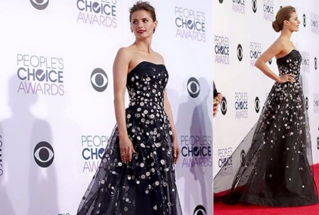 [url=https://www.facebook.com/stanakaticfanpage/photos/a.10151998579236674.1073741825.284801801673/10152566900936674/]Stana Katic[/url]: Obrigada Brazil! 

Obrigada Harper's Bazaar Brasil Oficial:

http://www.harpersbazaar.com.br/moda/os-melhores-looks-do-peoples-choice-awards#Stana-Katic---Foto--Getty-Images
