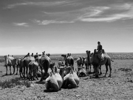 [url=https://instagram.com/p/BR15qgagJba]@drstanakatic[/url]: Relembrando o momento antes de passear de camelo pelo Deserto Gobi. #Mongólia #Viagem #AVidaÉUmaAventura
Palavras chave: viagemMongólia