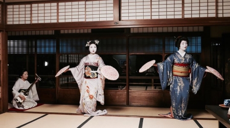 [url=http://instagram.com/p/BTH8PGoA4BD]@drstanakatic[/url]: Memórias de um jantar com uma Gueixa. 👘
#JapãoDoMeuJeito #Gueixa #Geiko #Shamisen
