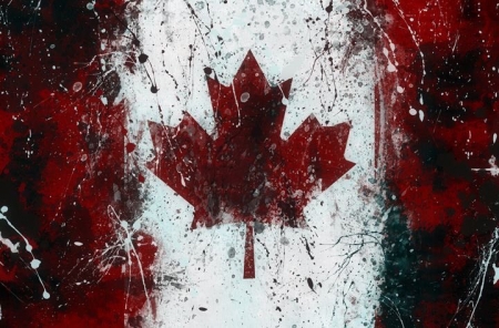 [url=https://twitter.com/Stana_Katic/status/881050024871772164]@Stana_Katic[/url]: Feliz Dia do Canadá! 💋
