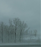 20170221_1.jpg
