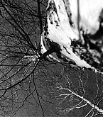 20170228_1.jpg