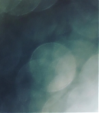 20170416_4.jpg