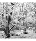 20170421.jpg