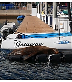 20171019_5.jpg