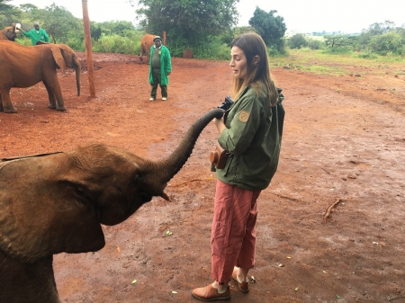 [url=http://instagram.com/p/Bjyuz1vhZsi]@drstanakatic[/url]: Luggard me surpreendeu dando um 'oi' enquanto eu tentava tirar uma foto de um de seus amigos. #suspiros #QueAmor 💚💙🌍🐘🍼 @dswt #Quênia #Nairóbi #QuêniaDoMeuJeito
