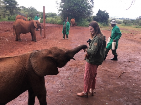[url=http://instagram.com/p/Bjyuz1vhZsi]@drstanakatic[/url]: Luggard me surpreendeu dando um 'oi' enquanto eu tentava tirar uma foto de um de seus amigos. #suspiros #QueAmor 💚💙🌍🐘🍼 @dswt #Quênia #Nairóbi #QuêniaDoMeuJeito
