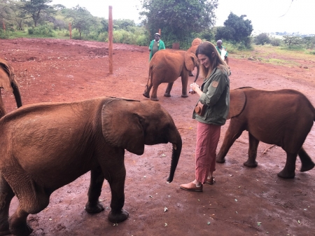 [url=http://instagram.com/p/Bjyuz1vhZsi]@drstanakatic[/url]: Luggard me surpreendeu dando um 'oi' enquanto eu tentava tirar uma foto de um de seus amigos. #suspiros #QueAmor 💚💙🌍🐘🍼 @dswt #Quênia #Nairóbi #QuêniaDoMeuJeito
