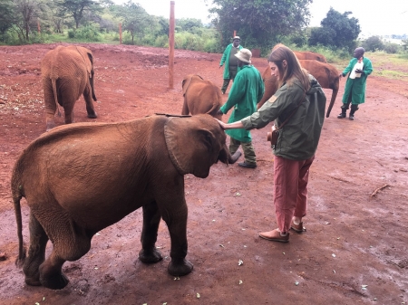 [url=http://instagram.com/p/Bjyuz1vhZsi]@drstanakatic[/url]: Luggard me surpreendeu dando um 'oi' enquanto eu tentava tirar uma foto de um de seus amigos. #suspiros #QueAmor 💚💙🌍🐘🍼 @dswt #Quênia #Nairóbi #QuêniaDoMeuJeito
