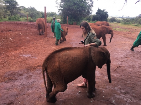[url=http://instagram.com/p/Bjyuz1vhZsi]@drstanakatic[/url]: Luggard me surpreendeu dando um 'oi' enquanto eu tentava tirar uma foto de um de seus amigos. #suspiros #QueAmor 💚💙🌍🐘🍼 @dswt #Quênia #Nairóbi #QuêniaDoMeuJeito
