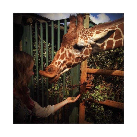 [url=http://instagram.com/p/BjzDkD4hWfQ]@drstanakatic[/url]: O #Quênia não está para brincadeiras. 🦒 Você sabia que sacolar plásticas foram banidas de muitos países da #ÁfricaOriental? 🦒 A multa por usar um no Quênia pode chegar a até U$$38,000 ou 4 anos de prisão. 😳 #NãoArrisque #QuêniaLevaOMeioAmbienteASério
#QuêniaDoMeuJeito
