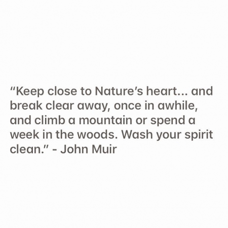 [url=http://instagram.com/p/BnUWqdzhQdB]@drstanakatic[/url]: #🌲
