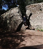 20180413_2.jpg