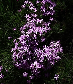 20180414_1.jpg