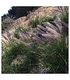 20180416_5.jpg
