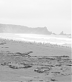 20180420_2.jpg