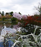 20180421_3.jpg