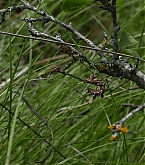 20180422_1.jpg