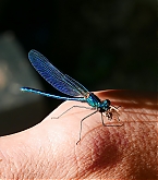 20180422_2.jpg