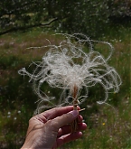 20180422_4.jpg