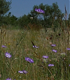 20180422_5.jpg