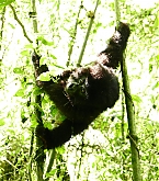 20180606_7.jpg