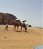 20150613_mohammednawaflehmohammednawafl.jpg