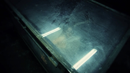 009.jpg