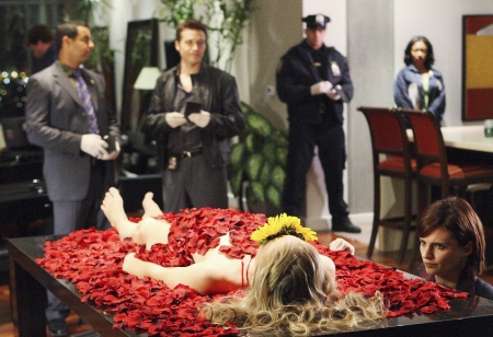 Palavras chave: CASTLE;FLOWERS FOR YOUR GRAVE,FLORES PARA O SEU TÚMULO;S01E01;PILOTO;PILOTE;KATE BECKETT;KEVIN RYAN;JAVIER ESPOSITO