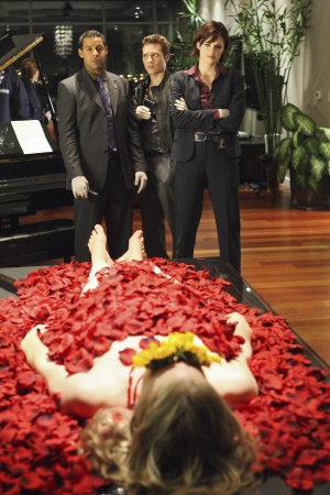 Palavras chave: CASTLE;FLOWERS FOR YOUR GRAVE,FLORES PARA O SEU TÚMULO;S01E01;PILOTO;PILOTE;KATE BECKETT;Kevin Ryan;Javier Esposito