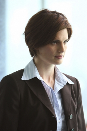 Palavras chave: CASTLE;FLOWERS FOR YOUR GRAVE,FLORES PARA O SEU TÚMULO;S01E01;PILOTO;PILOTE;KATE BECKETT