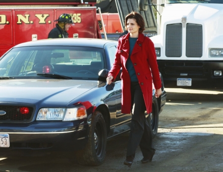 Palavras chave: CASTLE;A CHILL GOES THROUGH HER VEINS;UM FRIO QUE CORRE NAS VEIAS;S01E05;KATE BECKETT