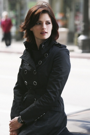 Palavras chave: CASTLE;A DEATH IN THE FAMILY;S01E10;KATE BECKETT;WILL SORENSON