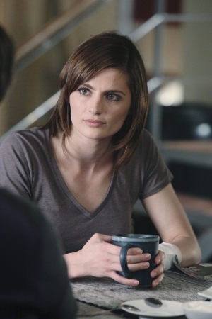 Palavras chave: CASTLE;BOOM;2X18;S02E18;KATE BECKETT