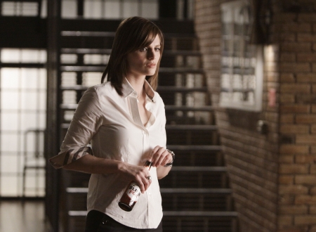 Palavras chave: Castle;2.24;2x24;s02e23;A Deadly Game;Kate Beckett