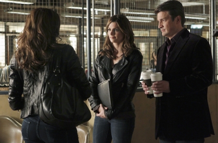 Palavras chave: Castle;3ª temporada;season 3;3.11;3x11;s03e11