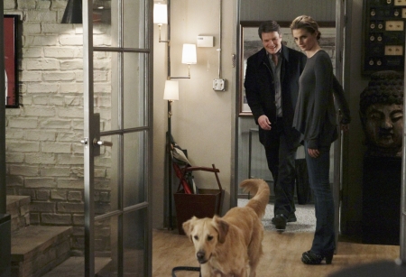Palavras chave: Castle;4ª temporada;season 4;4x13;4.13;s04e13