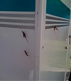 2010_07_07.jpg