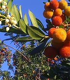 2011_02_14.jpg