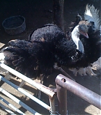 2011_03_27_01.jpg