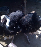 2011_03_27_02.jpg