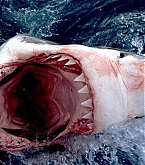 2011_07_31.jpg
