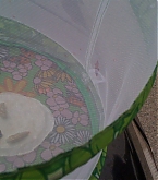 2011_08_10_04.jpg