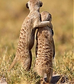 2013_08_30_4.jpg